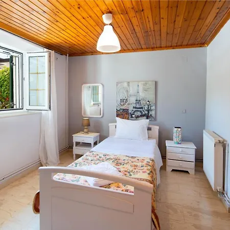فيلة Sterna House Paxos *